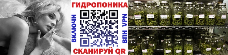 А ПВП Салаир