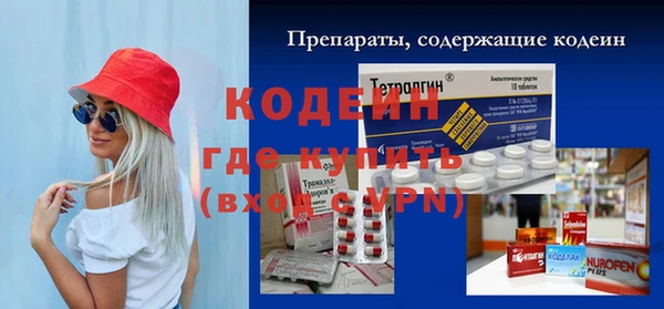 индика Елабуга