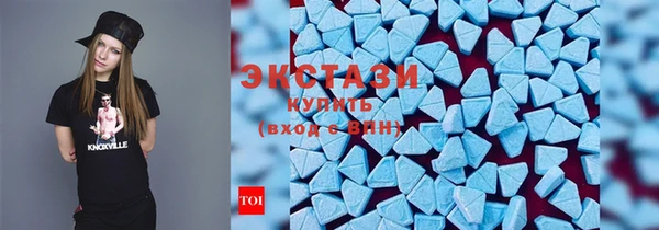 индика Елабуга