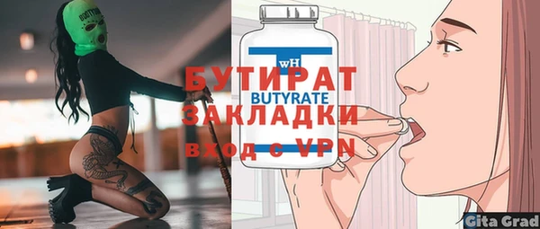 индика Елабуга