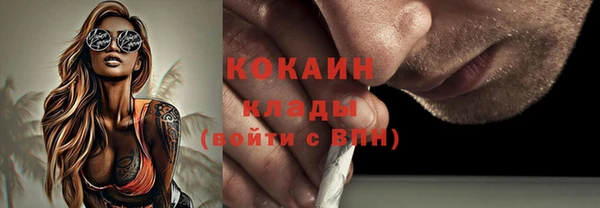спиды Елизово