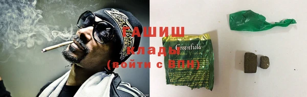 индика Елабуга