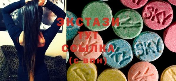 индика Елабуга
