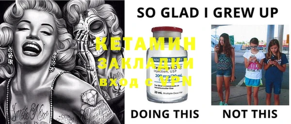индика Елабуга