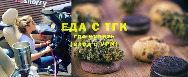 индика Елабуга