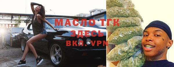 индика Елабуга