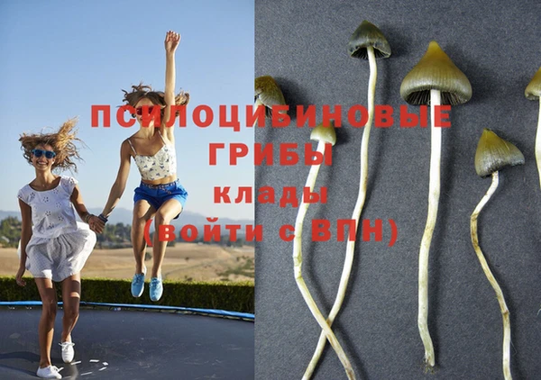 индика Елабуга
