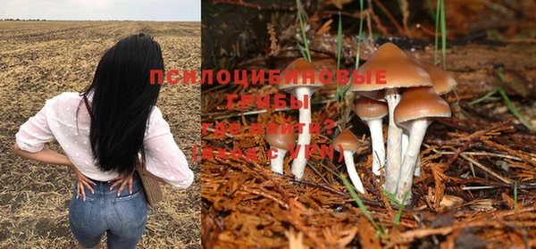 спиды Елизово