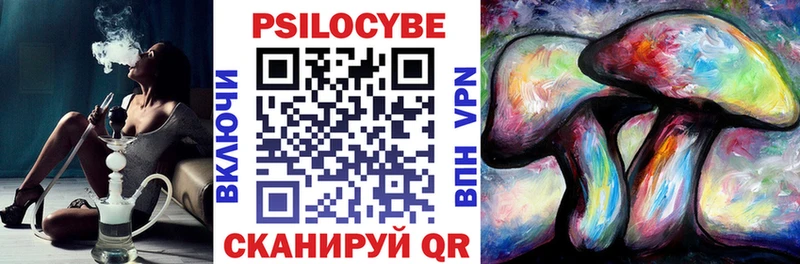 Купить где  Салаир  Галлюциногенные грибы прущие грибы 